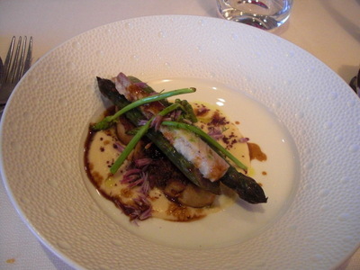 eel